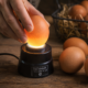 egg candler